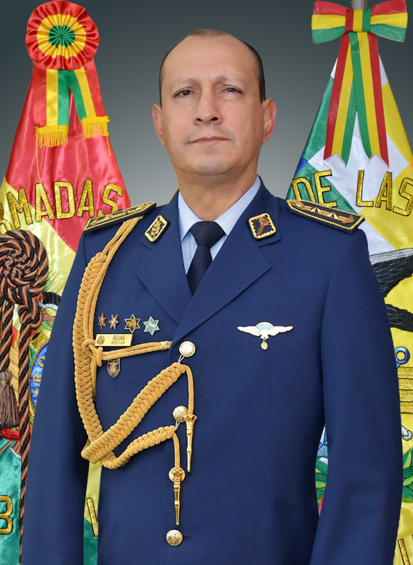 GRAL. BRIG. AÉ ROJAS DIRECTOR EAEN