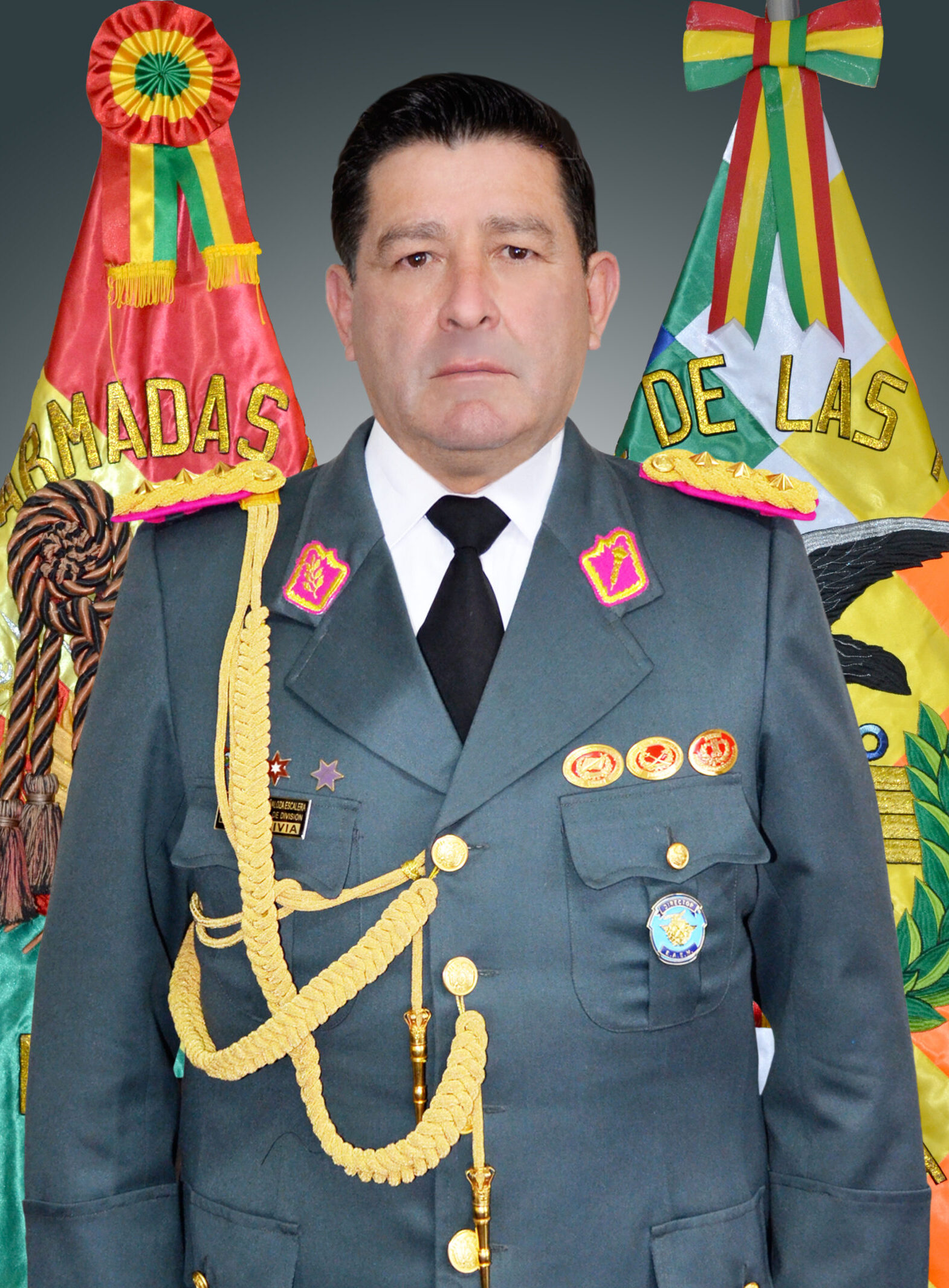 GRAL. BRIG. PEÑALOZA DIRECTOR EAEN